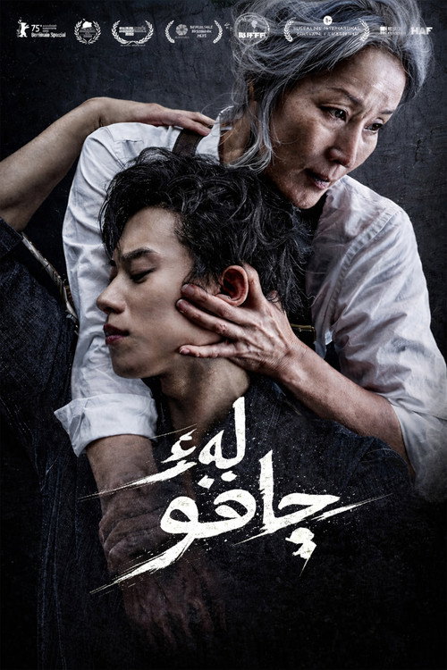 پوستر The Old Woman with the Knife