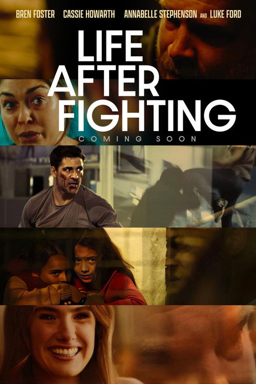 پوستر Life After Fighting