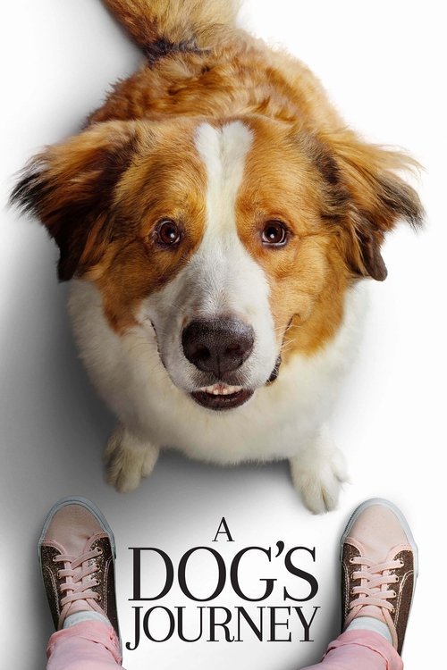 پوستر A Dog's Journey