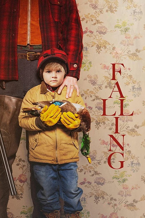 پوستر Falling