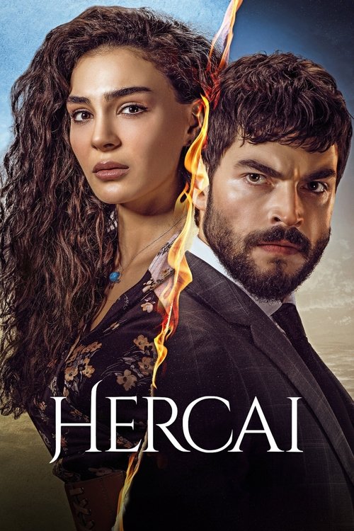 پوستر Hercai