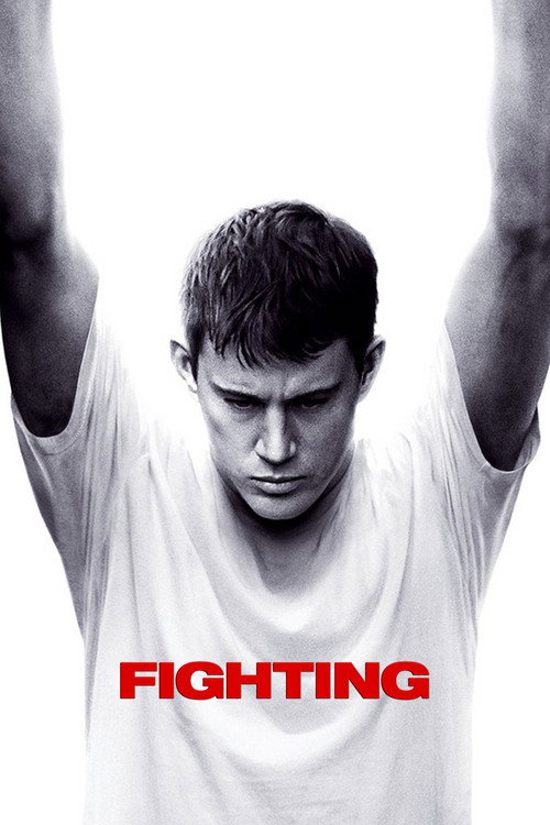 پوستر Fighting