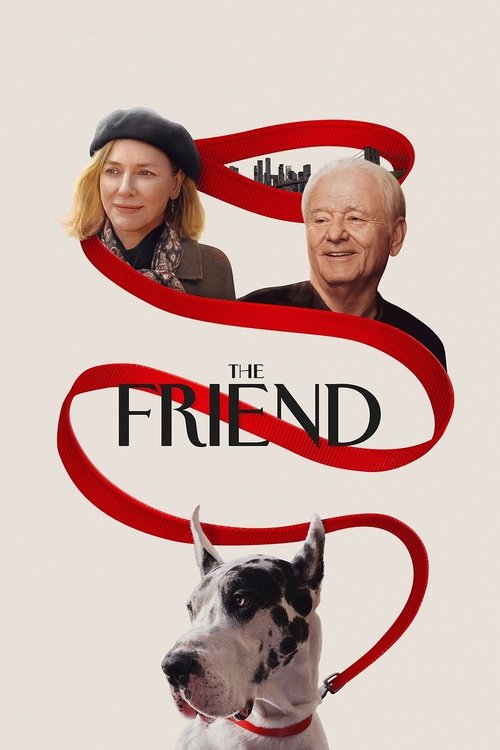 پوستر The Friend