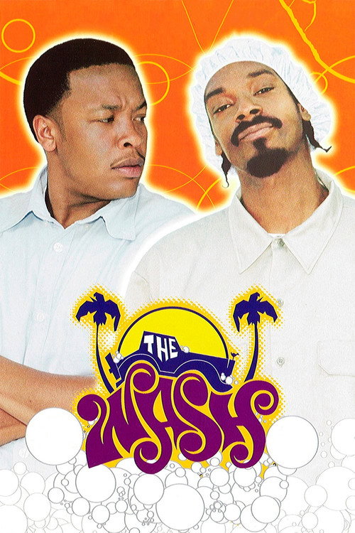 پوستر The Wash