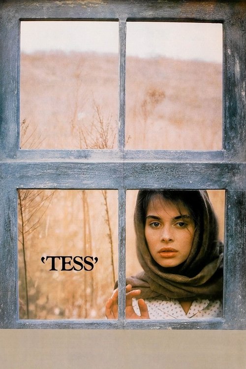 پوستر Tess