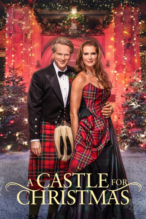 پوستر A Castle for Christmas