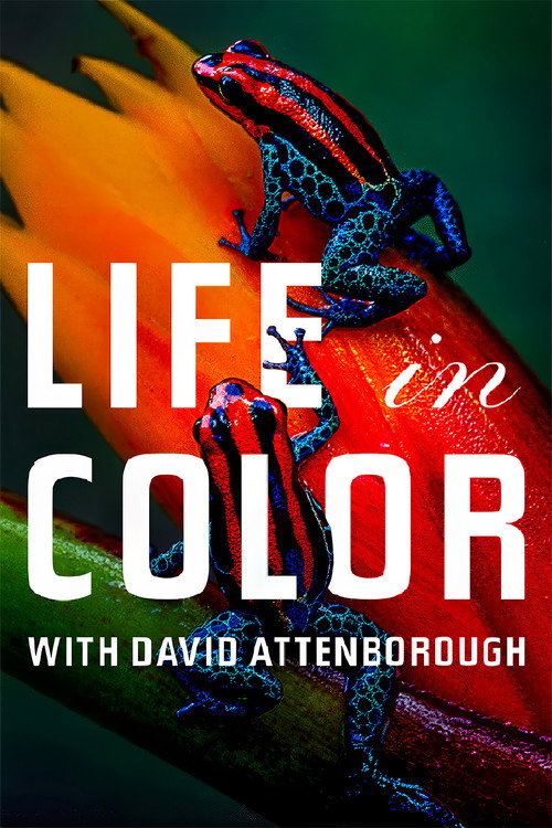 پوستر Attenborough's Life in Colour