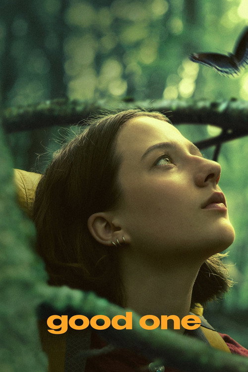 پوستر همین خوبه
