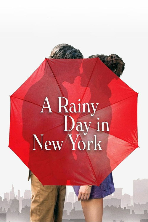 پوستر A Rainy Day in New York
