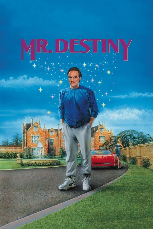 پوستر Mr. Destiny