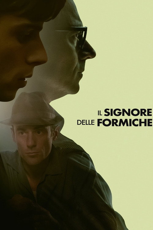 پوستر Il signore delle formiche