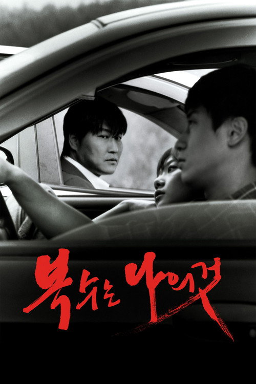 پوستر Sympathy for Mr. Vengeance